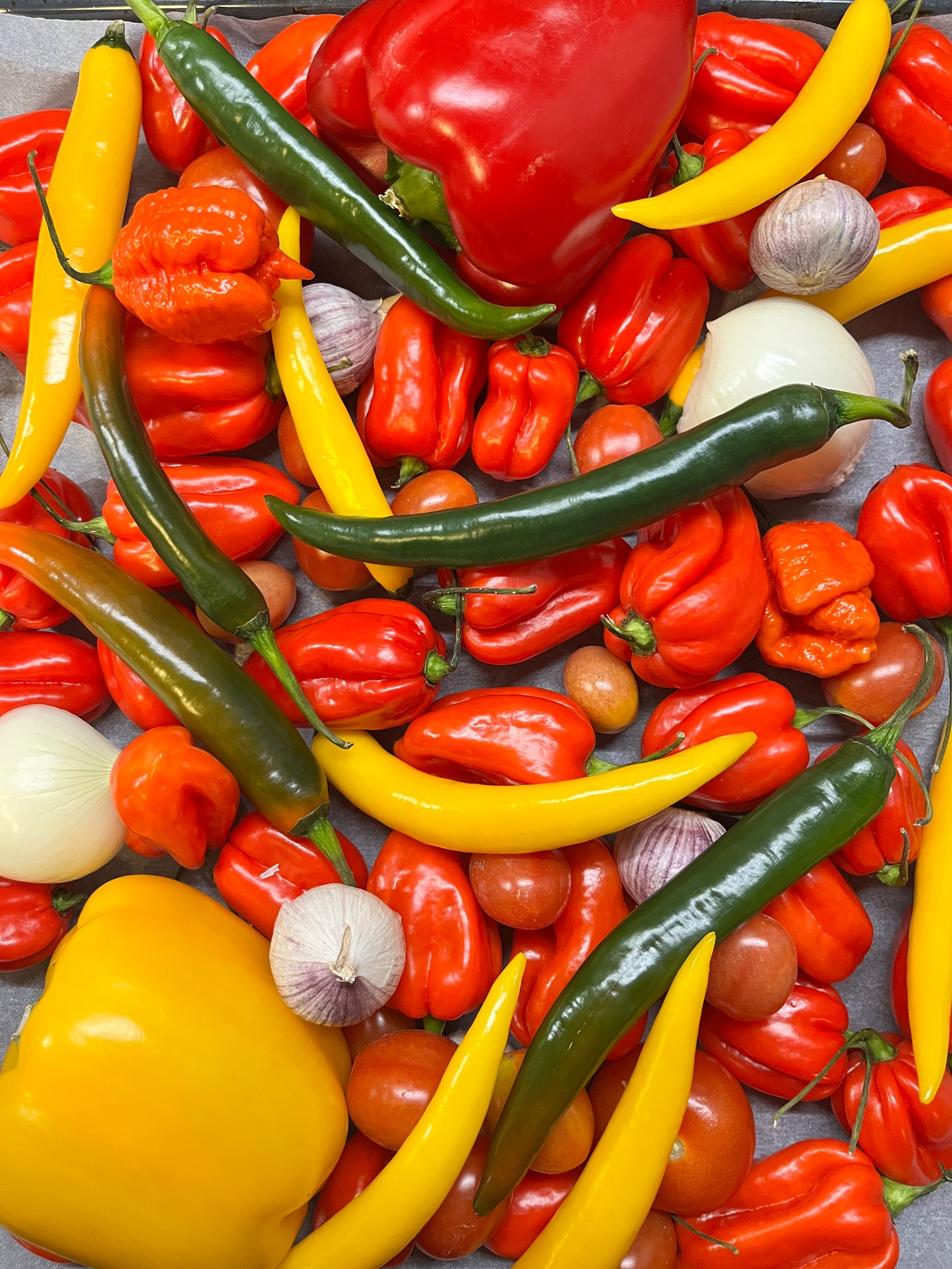 🌶️ Opa’s Superhot Duo – Limited Edition